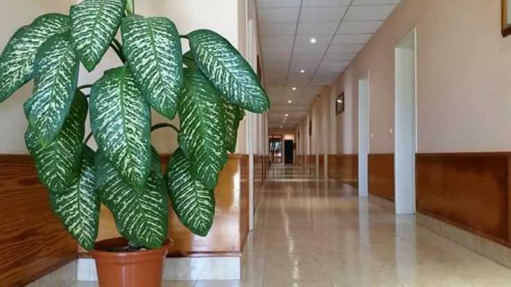 Aparthotel Santa Maria Beach 외부 사진